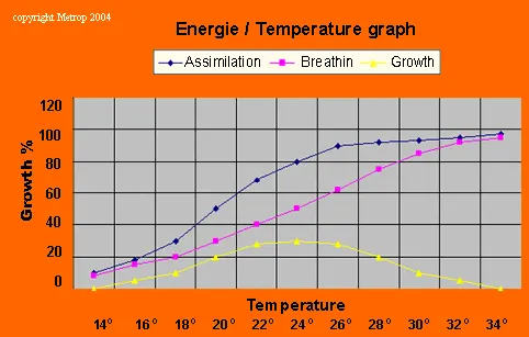 Température de croissance / énergie