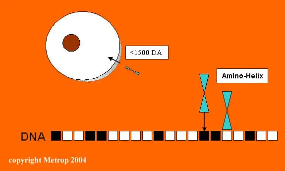 booster de floraison